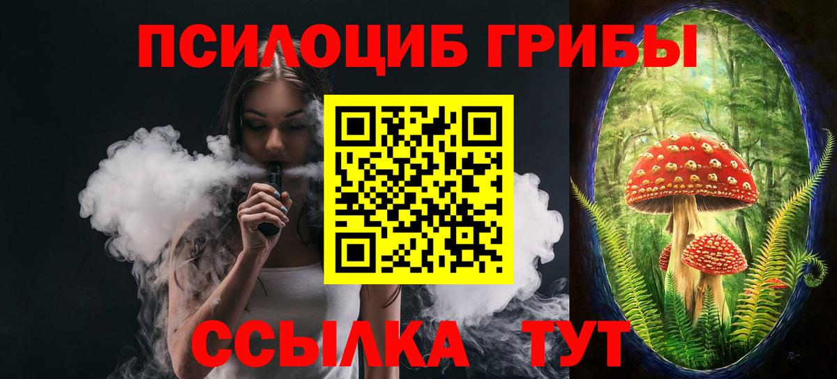 Псилоцибиновые грибы Cubensis  Вход с VPN  Королёв 